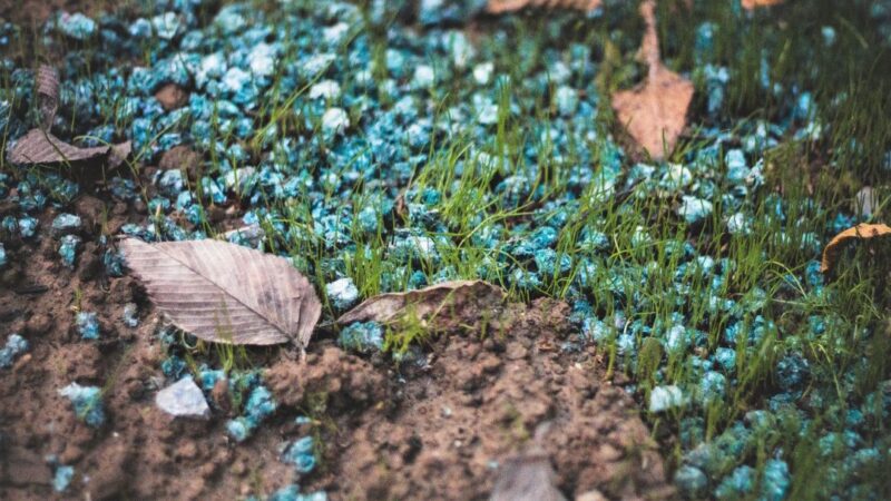 abono granulado para plantas azul
